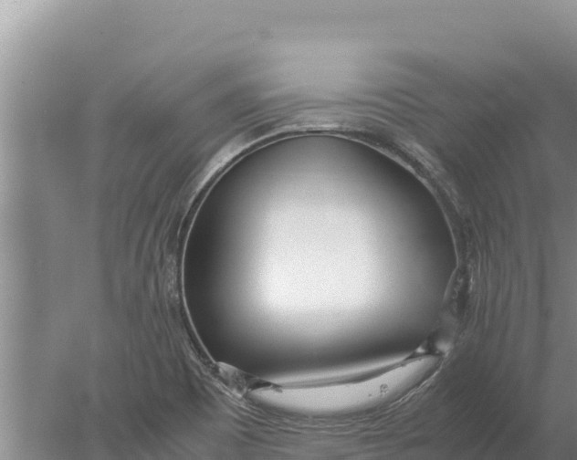 X0000077991465200611171742