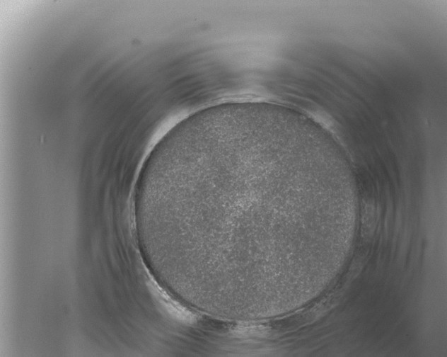 X0000077991466200611171742