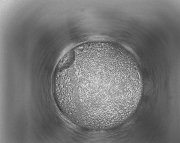 X0000077991467200611171742