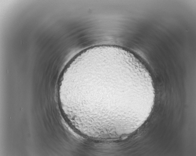 X0000077991468200611171742