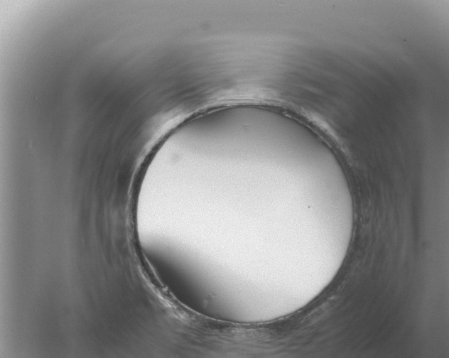 X0000077991469200611171742