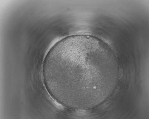 X0000077991470200611171742