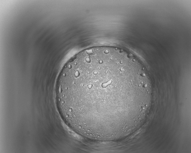 X0000077991471200611171742