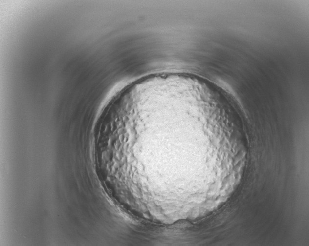 X0000077991472200611171742