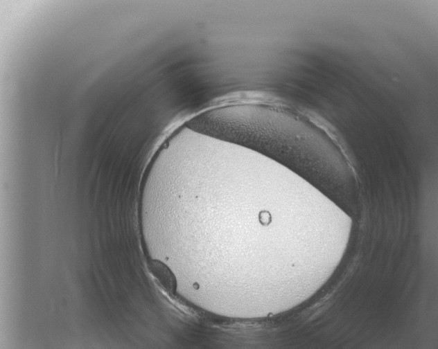 X0000077991473200611171742