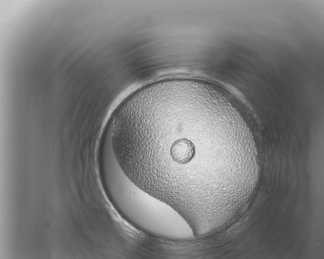 X0000077991474200611171742