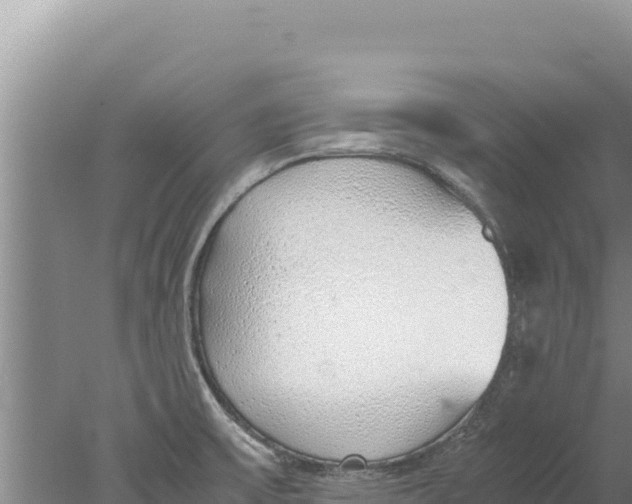 X0000077991475200611171742