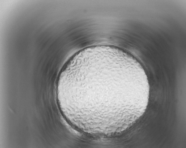 X0000077991476200611171742