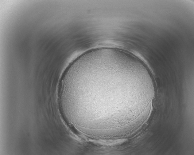 X0000077991477200611171742