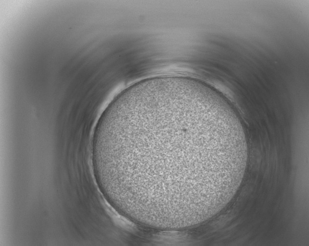 X0000077991478200611171742