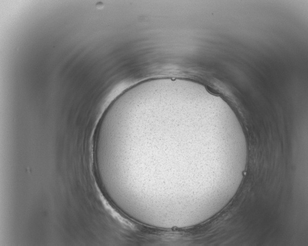 X0000077991479200611171742