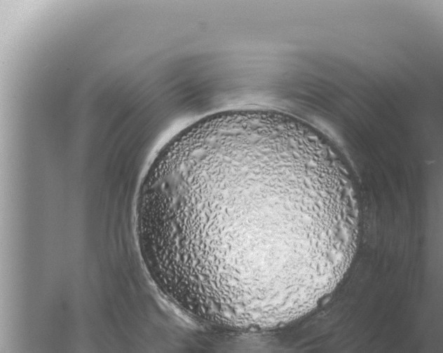 X0000077991480200611171742