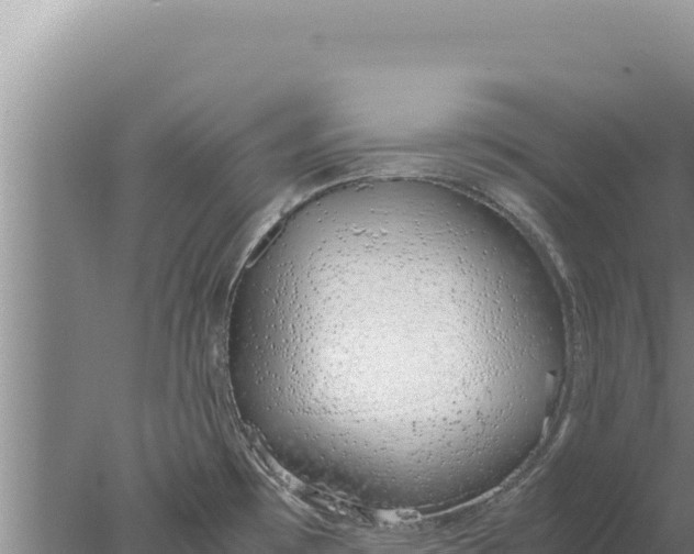 X0000077991481200611171742