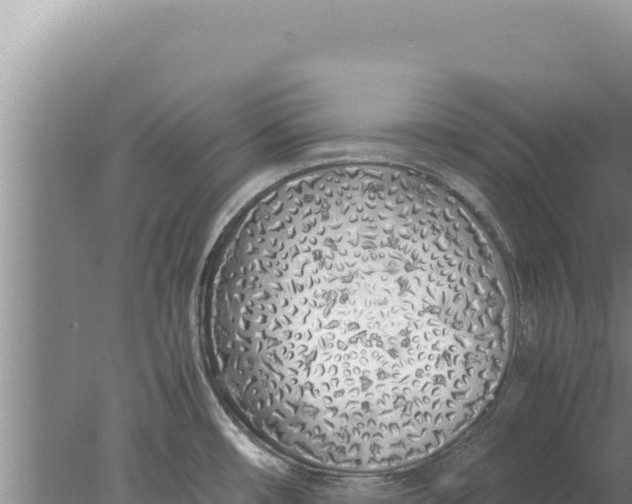 X0000077991482200611171742