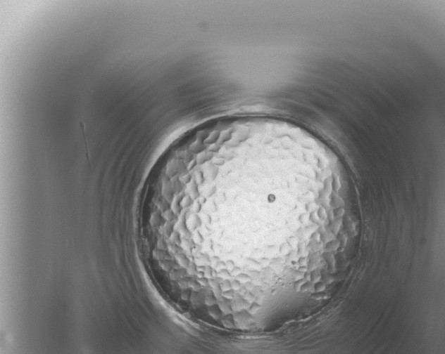 X0000077991483200611171742