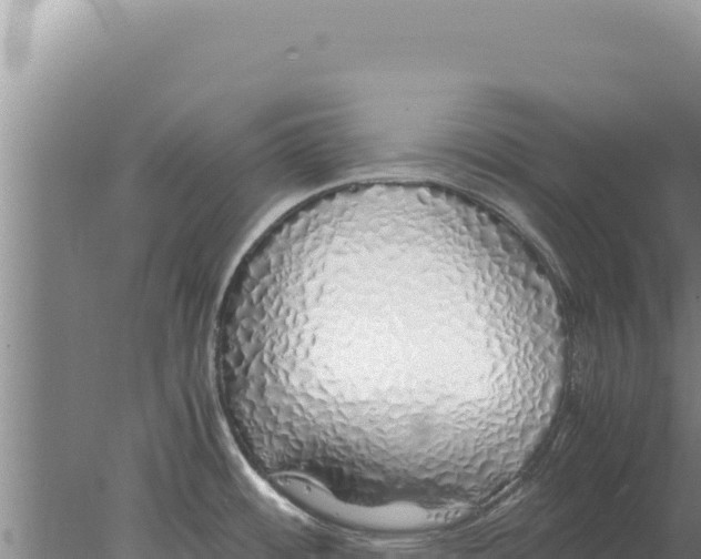 X0000077991484200611171741