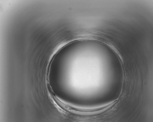 X0000077991485200611171741