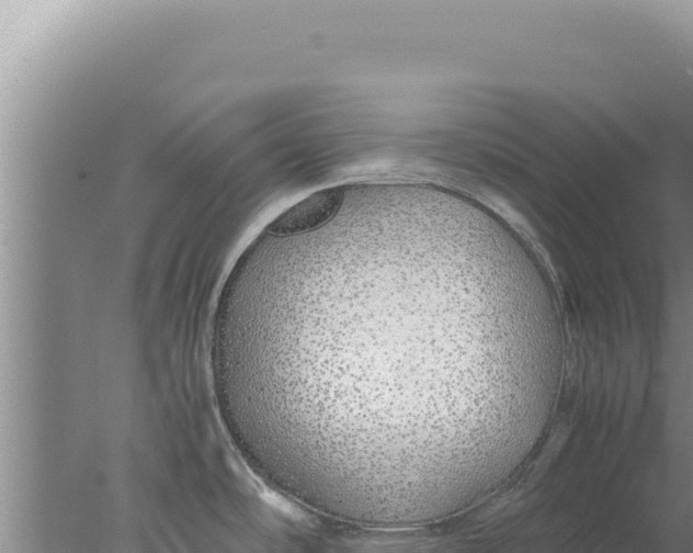 X0000077991486200611171741