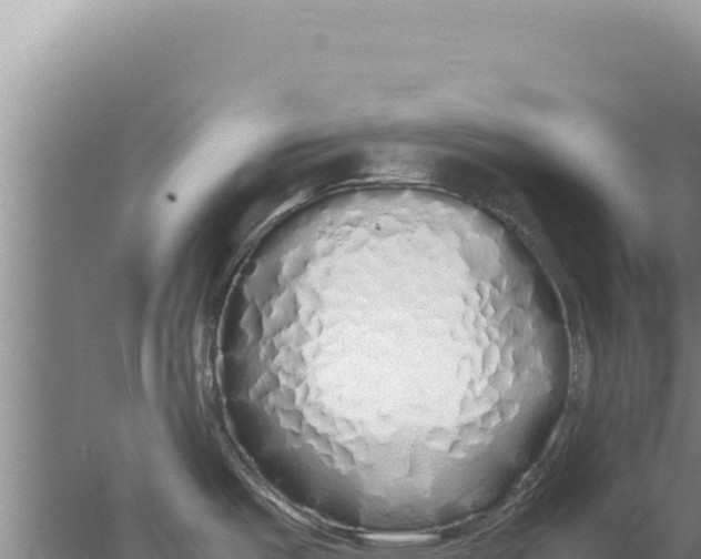 X0000077991487200611171741