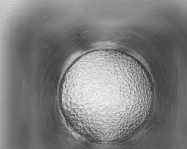 X0000077991488200611171741