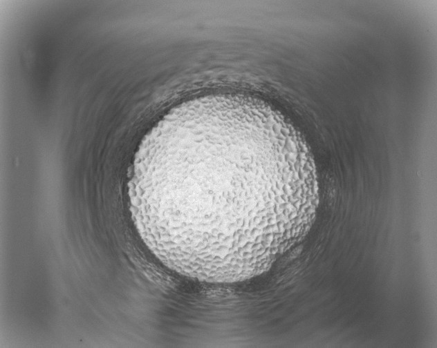 X0000077991489200611171741