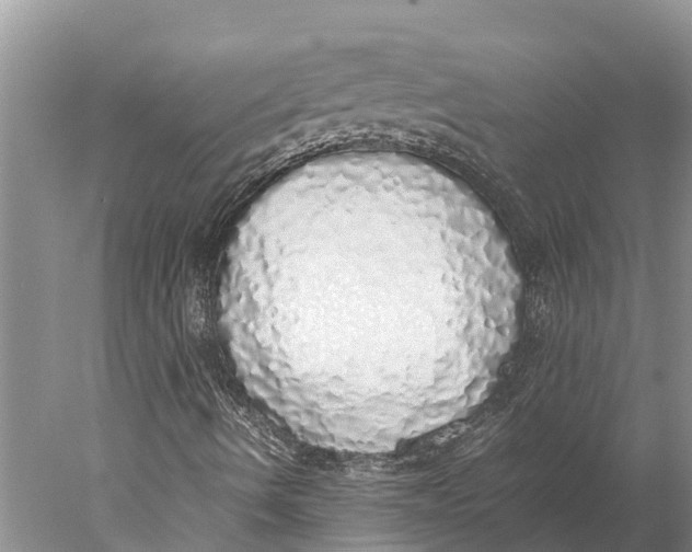 X0000077991490200611171741