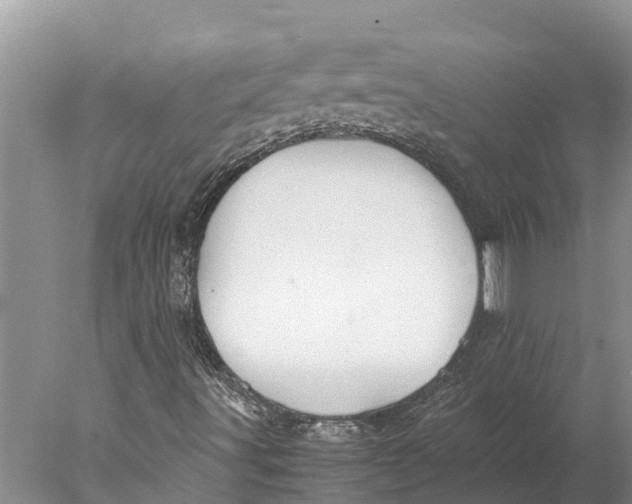 X0000077991491200611171741