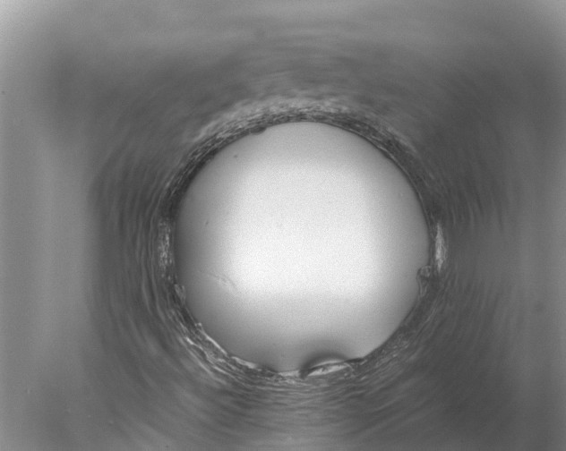 X0000077991492200611171741