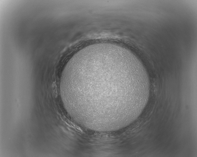 X0000077991493200611171741