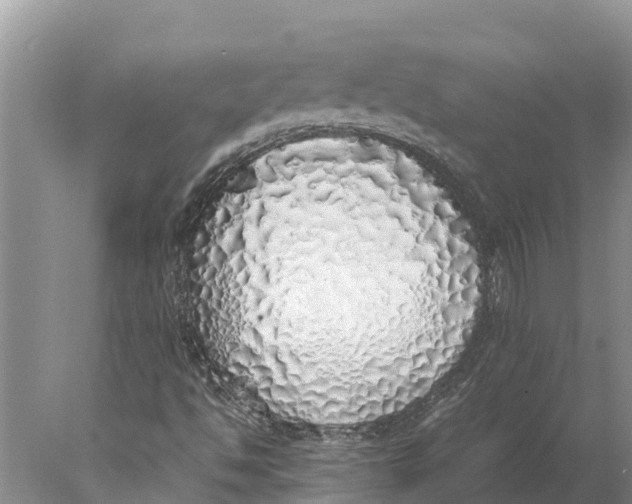 X0000077991494200611171741