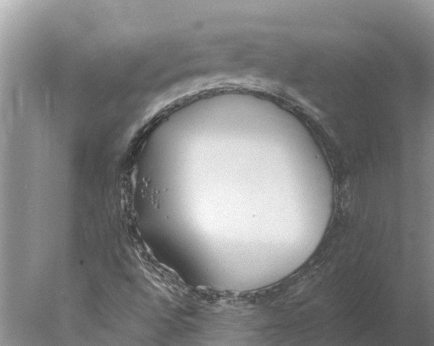 X0000077991496200611171741