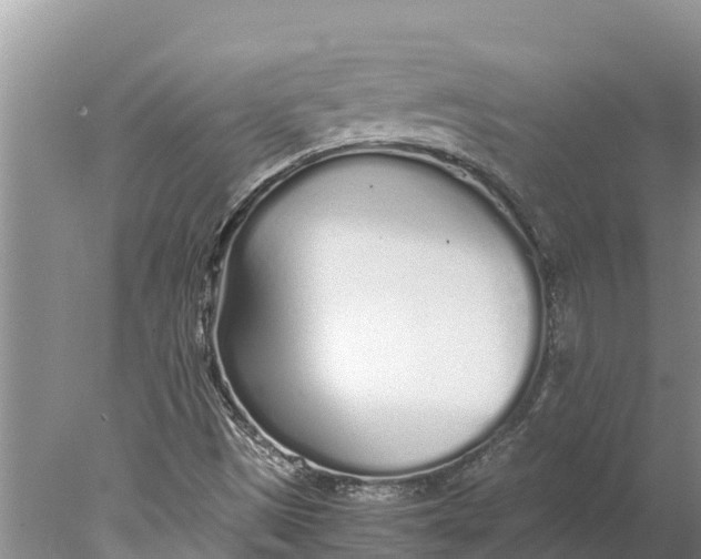 X0000077991497200611171741