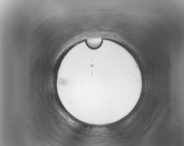 X0000077991498200611171741