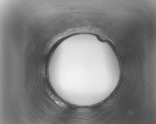 X0000077991499200611171741