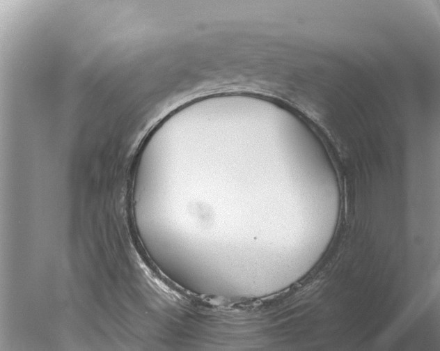 X0000077991500200611171741