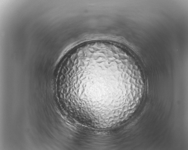 X0000077991501200611171741