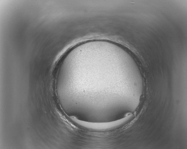 X0000077991502200611171741