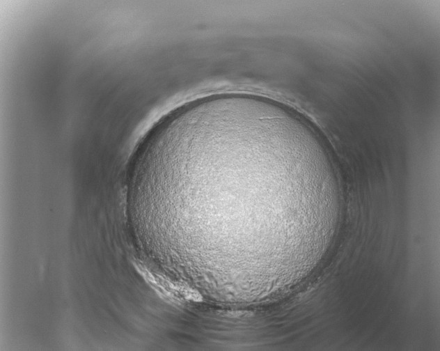 X0000077991503200611171741