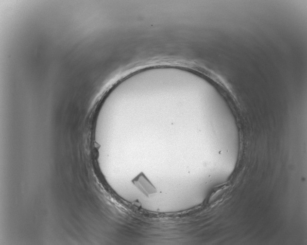 X0000077991504200611171741