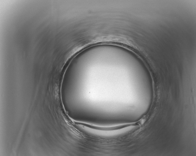 X0000077991505200611171741