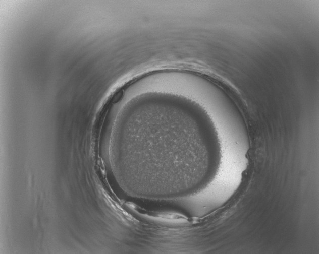 X0000077991506200611171741