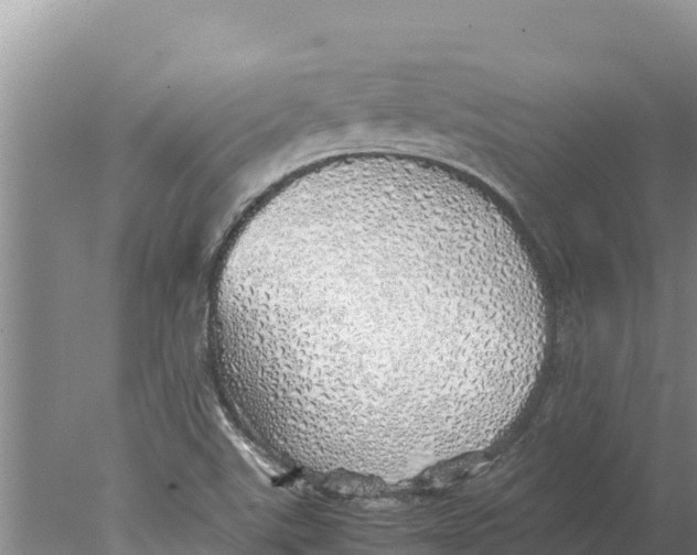 X0000077991507200611171741