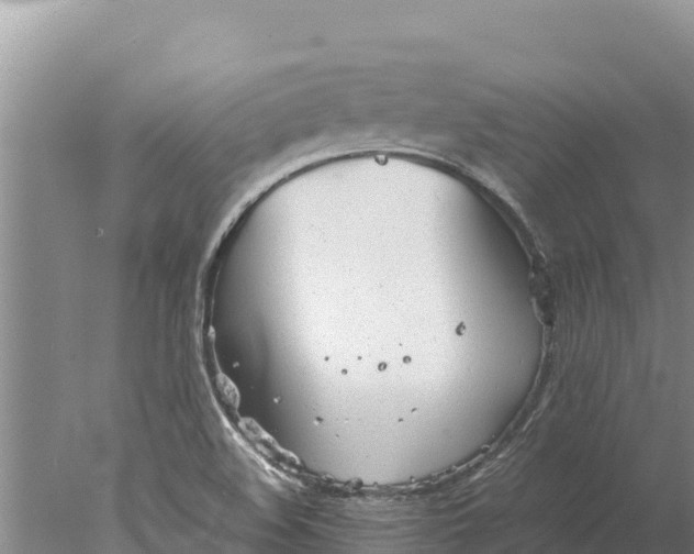 X0000077991508200611171741