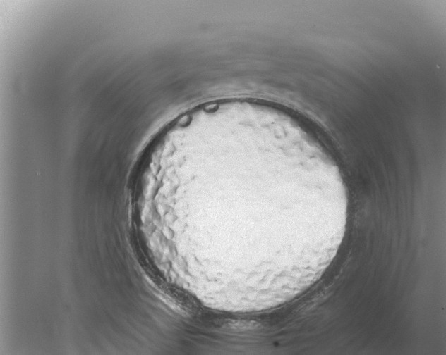 X0000077991509200611171741