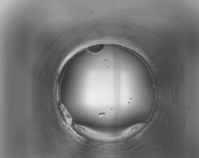 X0000077991510200611171741