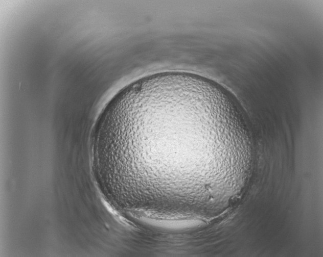 X0000077991511200611171741