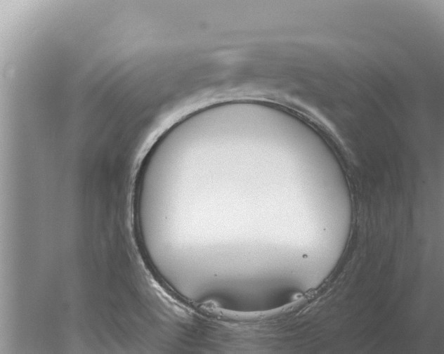 X0000077991512200611171741