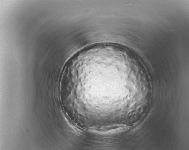 X0000077991513200611171741