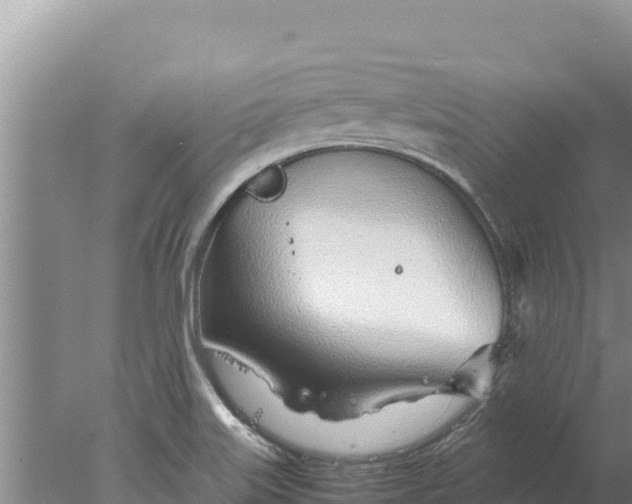 X0000077991515200611171741