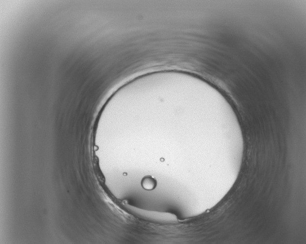 X0000077991516200611171741